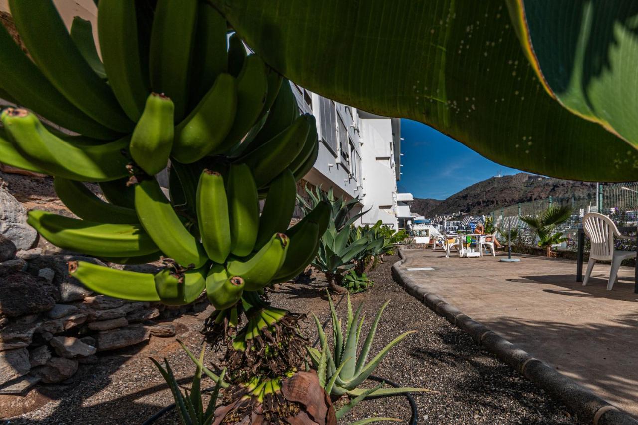 Your Happy Place Puerto Rico With Ac Экстерьер фото
